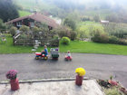 Kinderparadies auf dem Ferienhof Blehle in Wiederhofen im Allgu