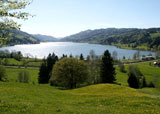 Reiten