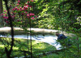 Sommerrodelbahn