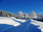 Winterzauber rund um Wiederhofen