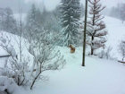 Winterzauber rund um Wiederhofen