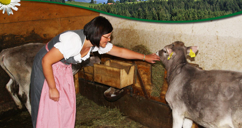 Impressionen vom Ferienhof Blehle in Missen im Allg&auml;u