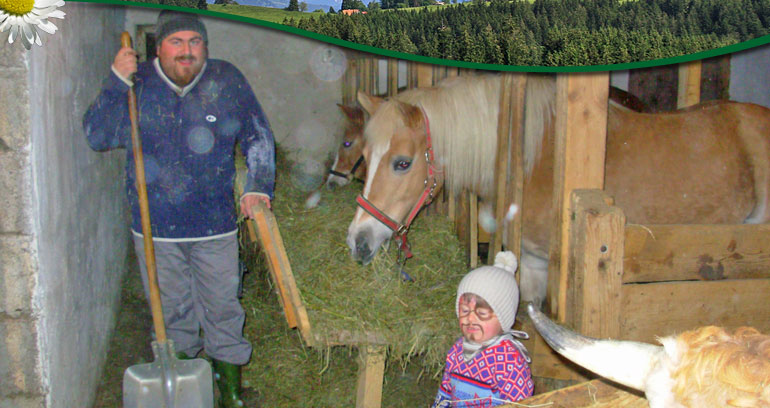 Impressionen vom Ferienhof Blehle in Missen im Allg&auml;u