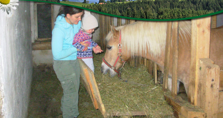 Impressionen vom Ferienhof Blehle in Missen im Allg&auml;u