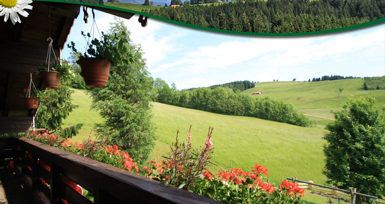 Ferienwohnung 'Salmaserblick' -  Ferienhof Blehle in Missen im Allg&auml;u