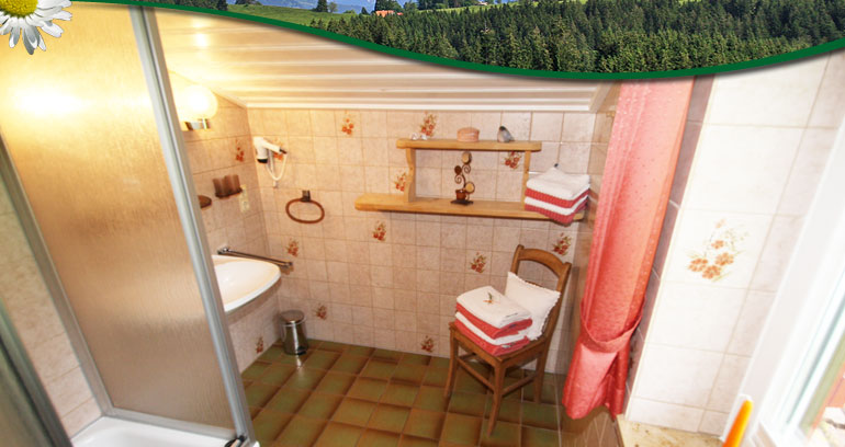 Ferienwohnung 'Salmaserblick' -  Ferienhof Blehle in Missen im Allg&auml;u